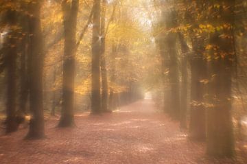 Droom landschap van Geertjan Plooijer