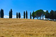 Toscane van Reinier van de Pol thumbnail