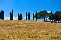 Toscane