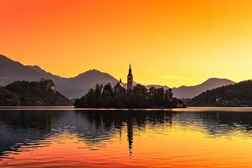 BLED 01 by Tom Uhlenberg