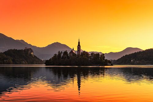 BLED 01