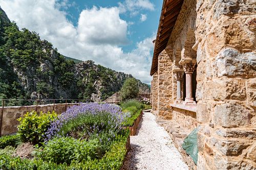 Lavendel in de tuin van de Abdij Saint-Martin du Canigou, Frankrijk