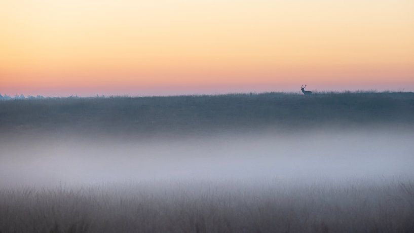 Red deer in an atmospheric landscape - 6 by Sander Grefte