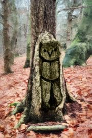 Die Eule im Baumstamm