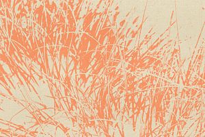 Gras in Koralle auf Weiß. Moderne abstrakte botanische Kunst