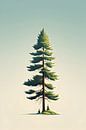 Pine tree by haroulita thumbnail