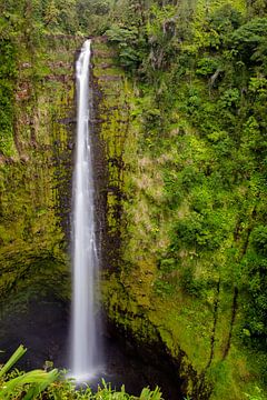 Akaka Falls by Dirk Rüter