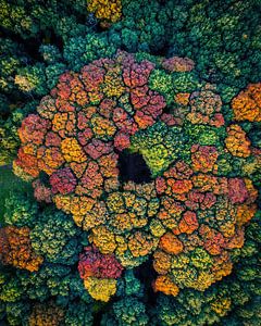 Herfst van boven van Thomas Bartelds