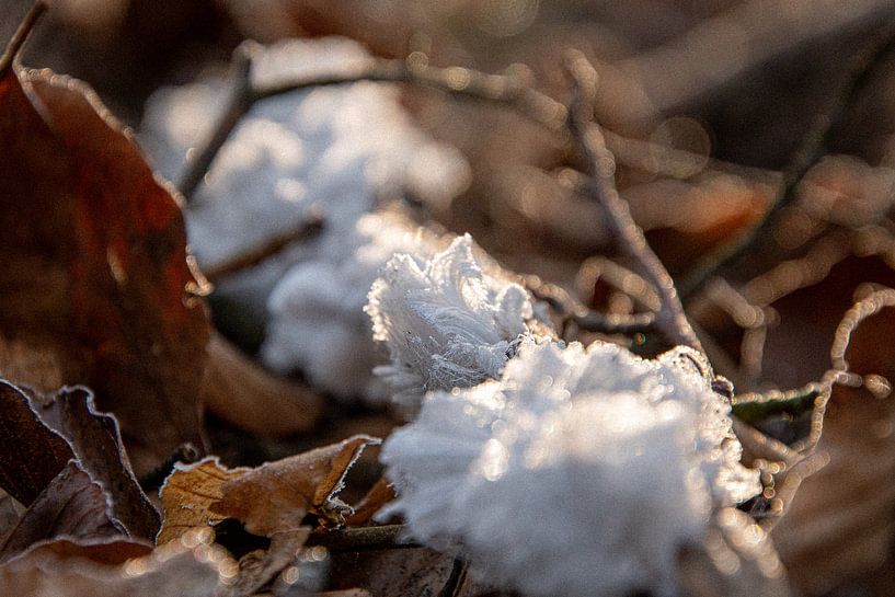 Icehair by Michael van Eijk