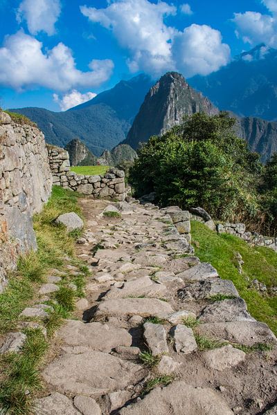 Inca trail naar Machu Picchu, Peru van Rietje Bulthuis