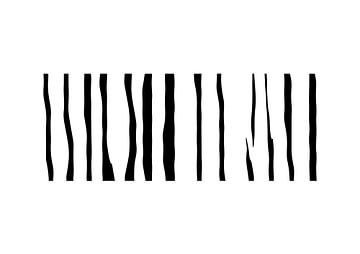 Organisch 12 | Schwarz & Weiß Minimalistisch Abstrakt von Menega Sabidussi