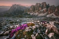 Sunset Dolomites