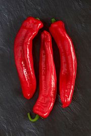 Paprika von Thomas Jäger