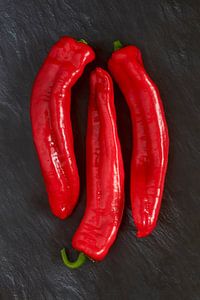 Paprika