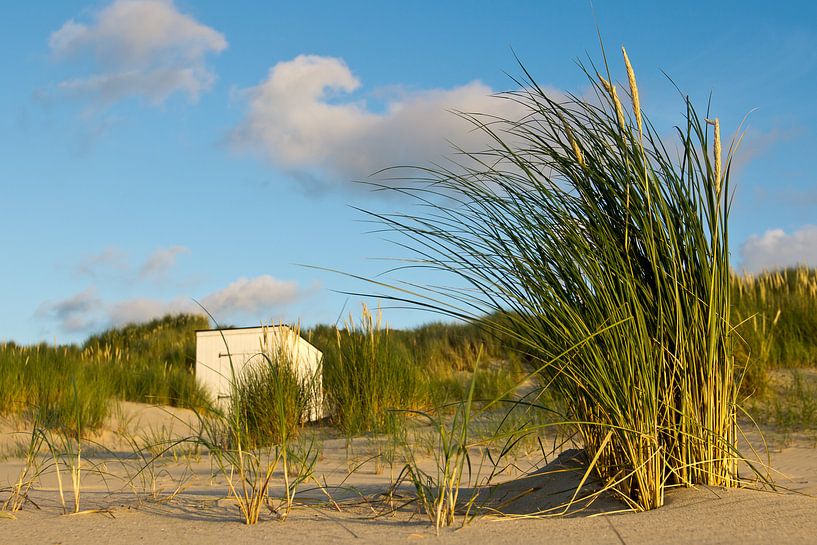 Strandhaus in den Dünen von René Weijers