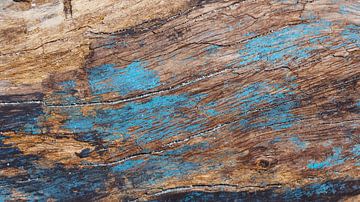 close up beeld van driftwood
