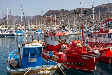 Haven van Puerto de Mogan (Gran Canaria) van t.ART