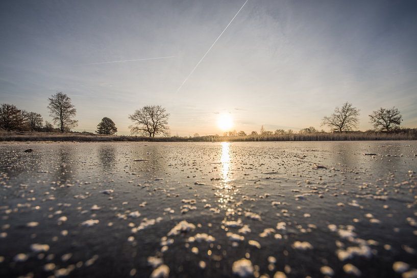 golden morning by Bart Liesenborgs