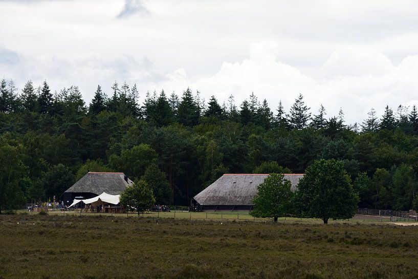 Sheepfold on the heath by Gerard de Zwaan