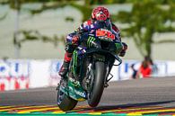 Fabio Quartararo van Marco Dek thumbnail