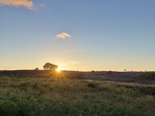 Sylt, coucher de soleil dans la lande de Braderup