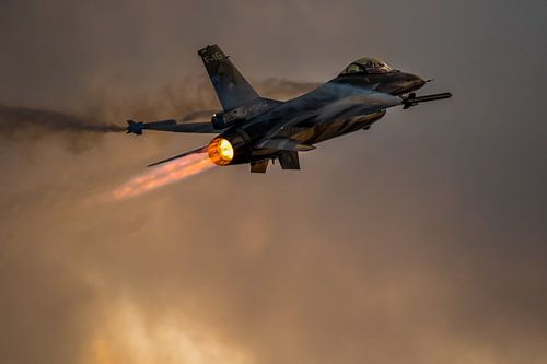 Falcon of the darkness van Nildo Scoop