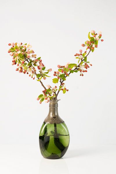 Fleur de pommier dans un vase en verre vert par Gaby Hendriksz
