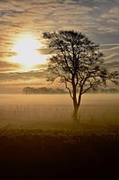 Sonnenaufgang