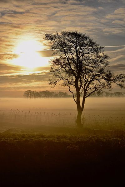 Sunrise by Meta Mulder-Veening