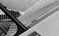Treinstation GUILLEMINS LUIK