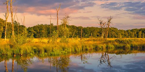 Panorama van een zonsopkomst in Appelbergen