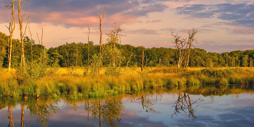 Panorama van een zonsopkomst in Appelbergen van Henk Meijer Photography