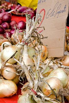 Onions by Nanette de Jong