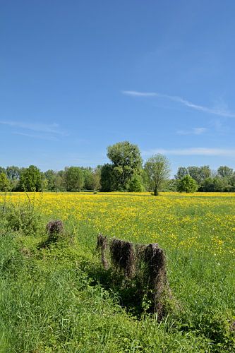 Oevergebied aan de Nederrijn, Noordrijn-Westfalen, Duitsland