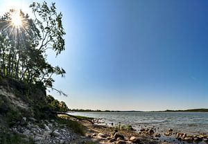 Natrustrand an der Lagune am Großen Jasmunder Bodden bei Lietzow