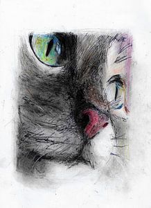 KATZE MAKRO FARBE