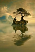 Zen is alles