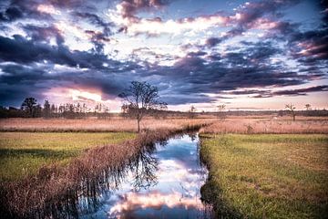 Dunkle Wolken über Drente