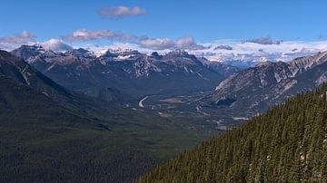 Bow Valley and Massive Range by Timon Schneider