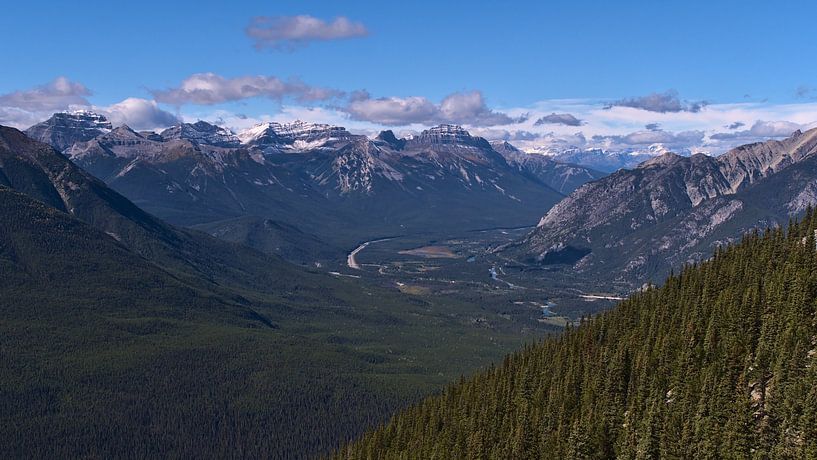 Bow Valley und Massive Range von Timon Schneider