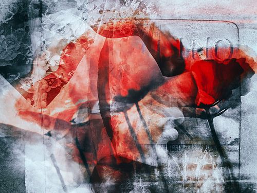 Say it with poppies sur Gabi Hampe