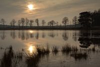 Ven in het Mandeveld te Bakkeveen (Friesland)