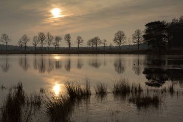 Lake in Het Mandefjild near Bakkeveen (Friesland) by Meindert van Dijk