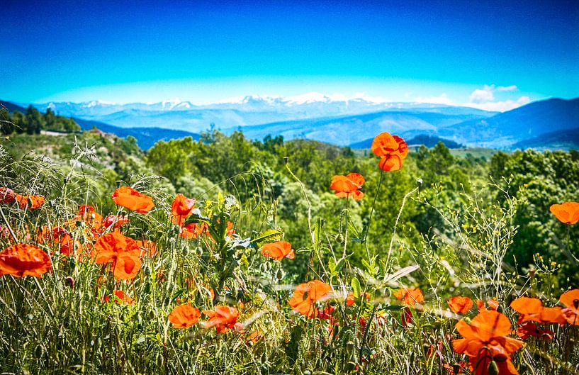 Pyreneeën  van Freddy Hoevers