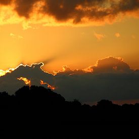 Sunset by Daan van Herp