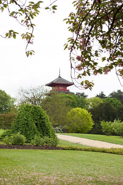 De Koninklijke Serres en tuin by marijke servaes