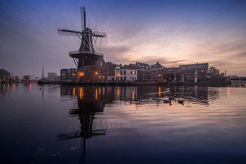 Haarlemse molen in het blauwe uur