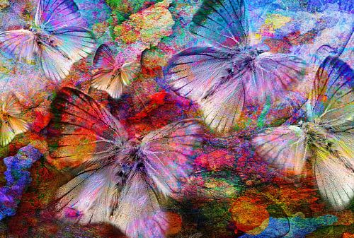 Elusive Dreams by Jacky