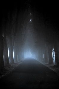 Dunkle Wege. Aber am Ende tritt man in's Licht.
