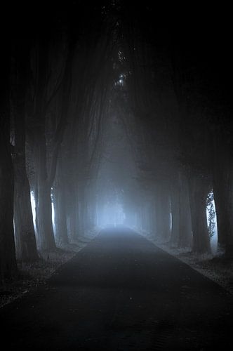 Dunkle Wege. Aber am Ende tritt man in's Licht.